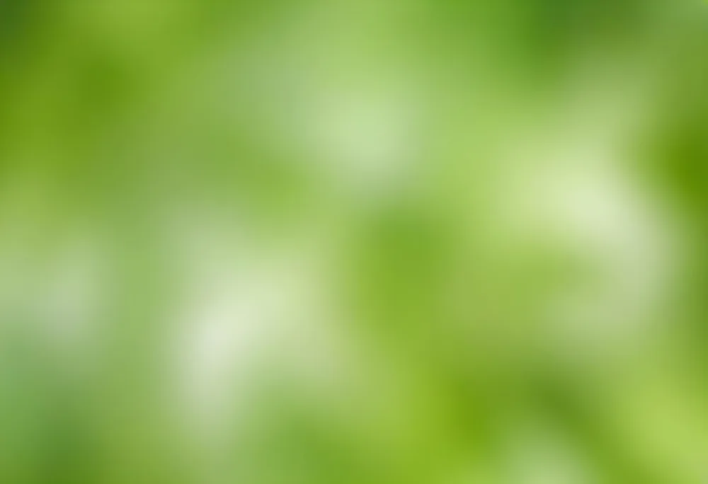 Abstract Background With Shades Of Green And White Creating A Soft Blurred Effect Reminiscent Of Foliage Or Natural Textures With A Focus On Light And Color Gradients 31 1b9f