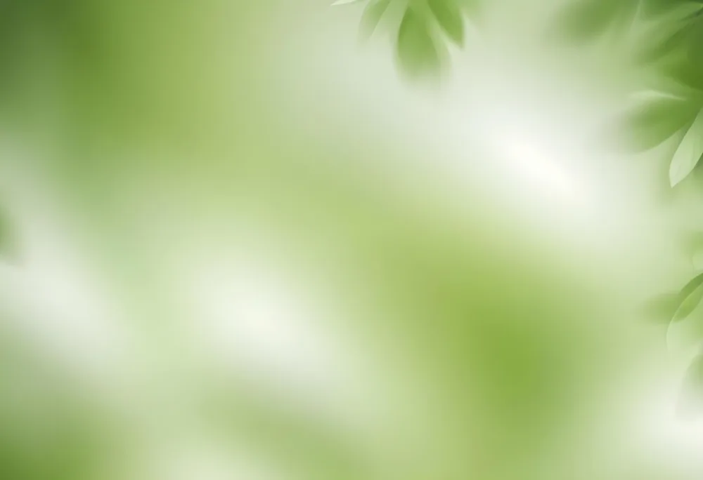 Abstract Background With Shades Of Green And White Creating A Soft Blurred Effect Reminiscent Of Foliage Or Natural Textures With A Focus On Light And Color Gradients 33 3aee