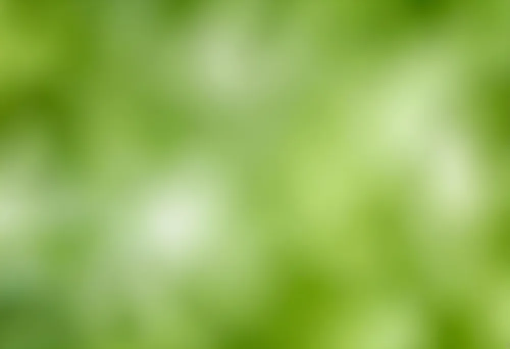 Abstract Background With Shades Of Green And White Creating A Soft Blurred Effect Reminiscent Of Foliage Or Natural Textures With A Focus On Light And Color Gradients 35 F7ff