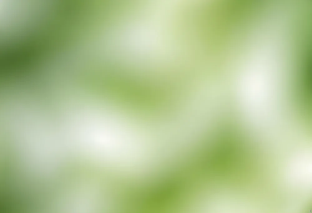 Abstract Background With Shades Of Green And White Creating A Soft Blurred Effect Reminiscent Of Foliage Or Natural Textures With A Focus On Light And Color Gradients 40 2151