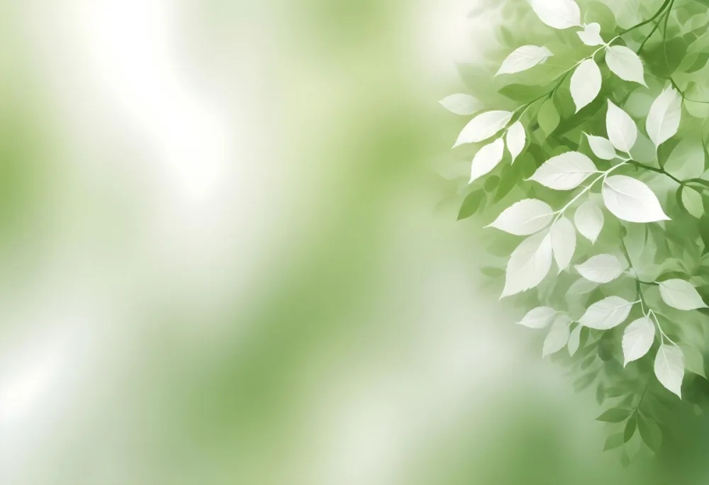 Abstract Background With Shades Of Green And White Creating A Soft Blurred Effect Reminiscent Of Foliage Or Natural Textures With A Focus On Light And Color Gradients 44 60a6