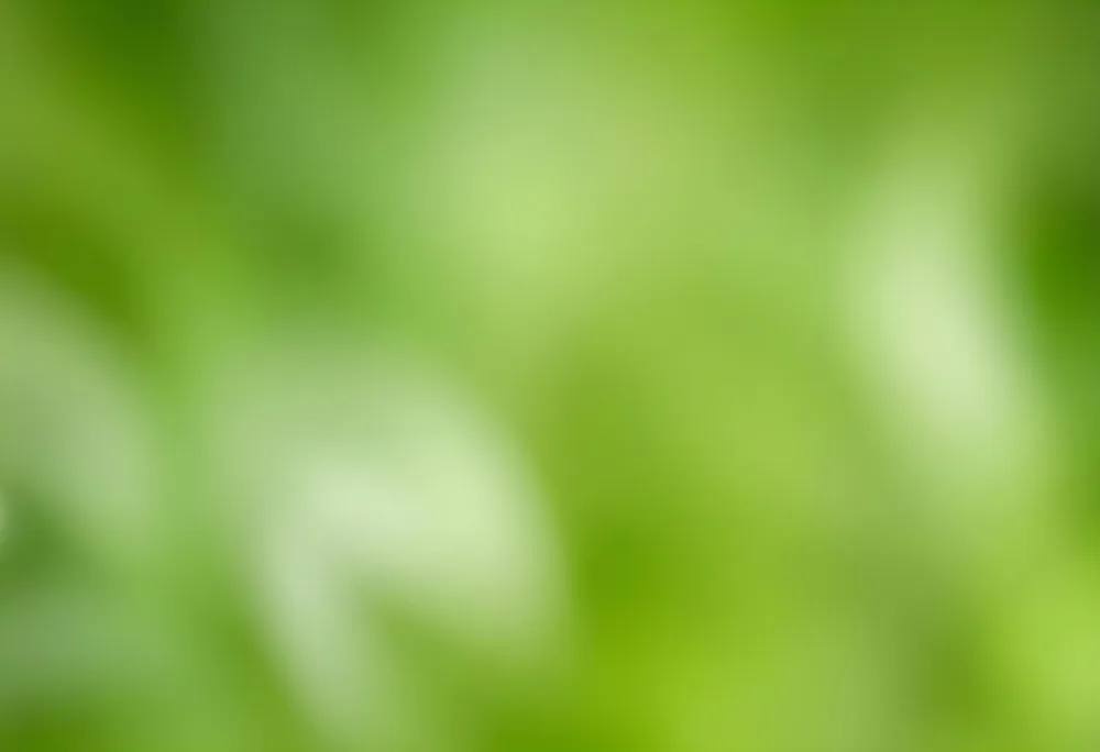 Abstract Background With Shades Of Green And White Creating A Soft Blurred Effect Reminiscent Of Foliage Or Natural Textures With A Focus On Light And Color Gradients 5 737d