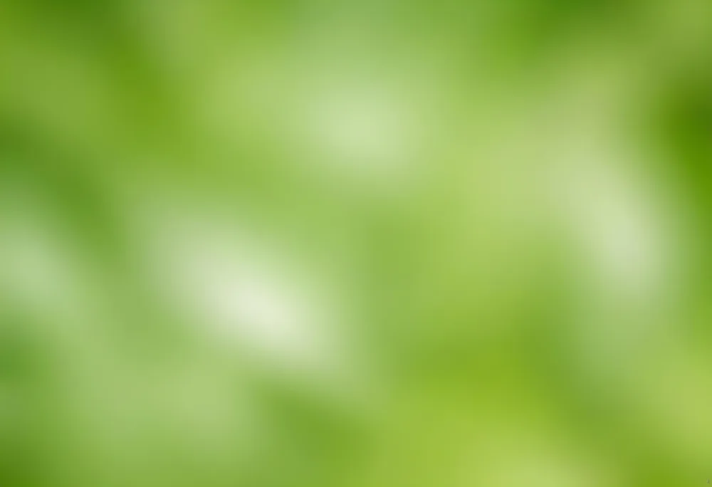 Abstract Background With Shades Of Green And White Creating A Soft Blurred Effect Reminiscent Of Foliage Or Natural Textures With A Focus On Light And Color Gradients 50 0759