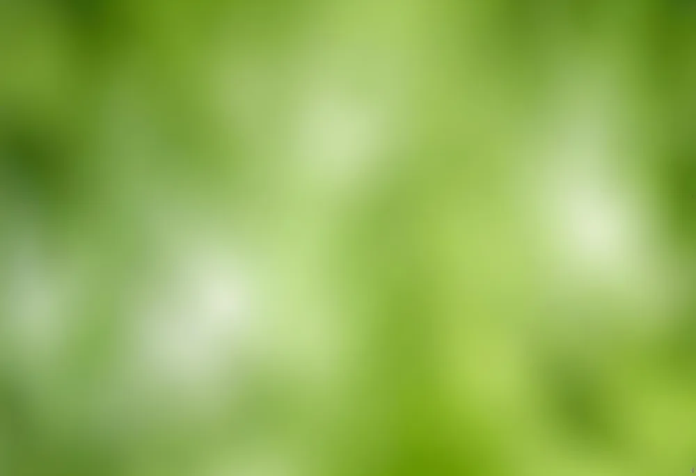 Abstract Background With Shades Of Green And White Creating A Soft Blurred Effect Reminiscent Of Foliage Or Natural Textures With A Focus On Light And Color Gradients 7 Cc80