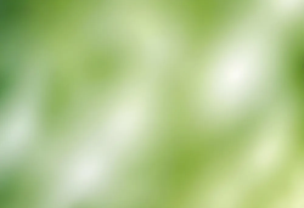 Abstract Background With Shades Of Green And White Creating A Soft Blurred Effect Reminiscent Of Foliage Or Natural Textures With A Focus On Light And Color Gradients 8 Dd53
