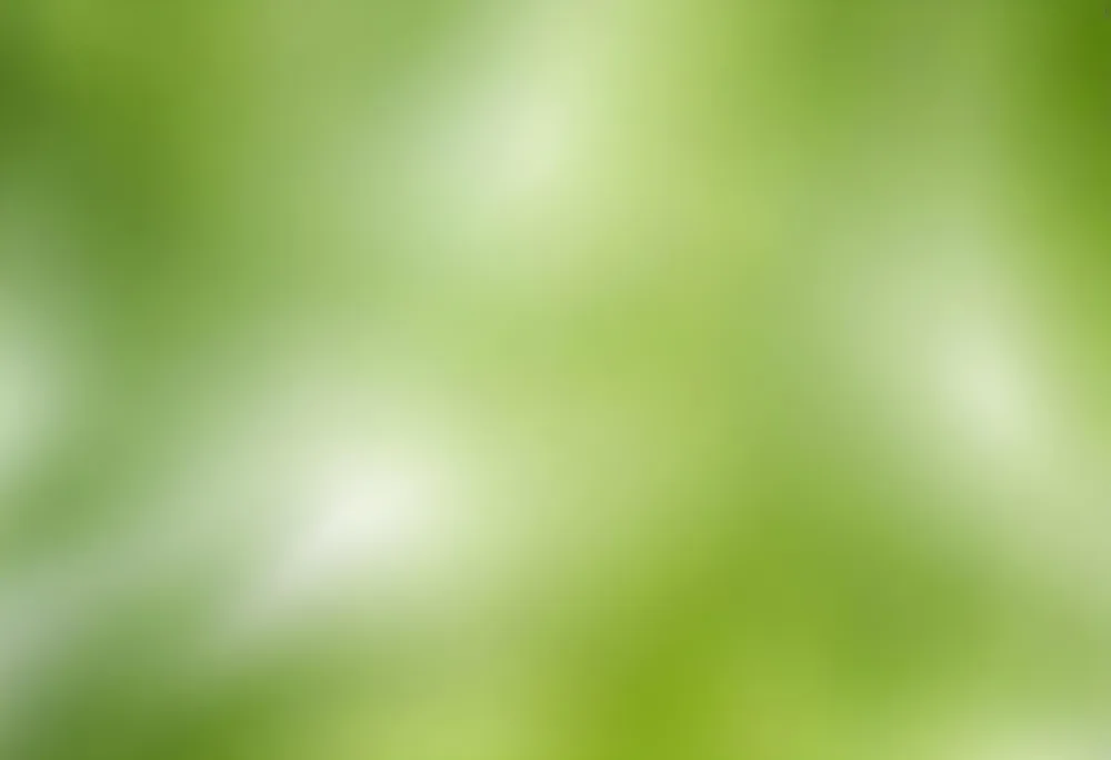 Abstract Background With Shades Of Green And White Creating A Soft Blurred Effect Reminiscent Of Foliage Or Natural Textures With A Focus On Light And Color Gradients 9 B0d8