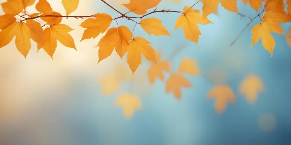 Autumn Leaves In Shades Of Orange And Yellow On A Blurred Blue Background 10 C1d0