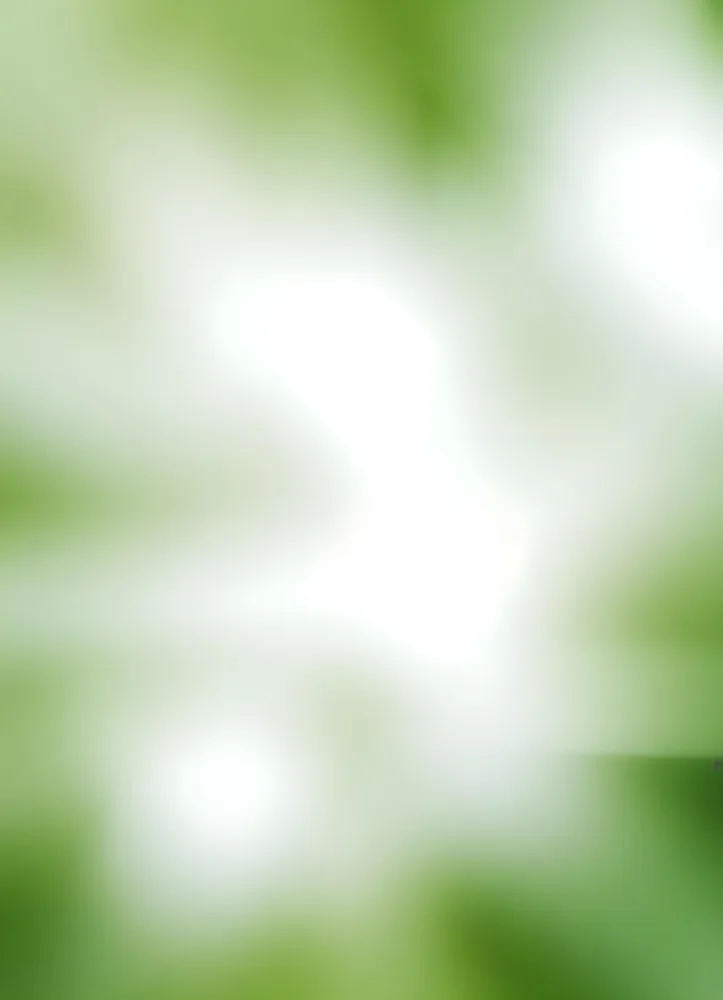 Blurred Green And White Abstract Background With Soft Focus 11 Bbfc