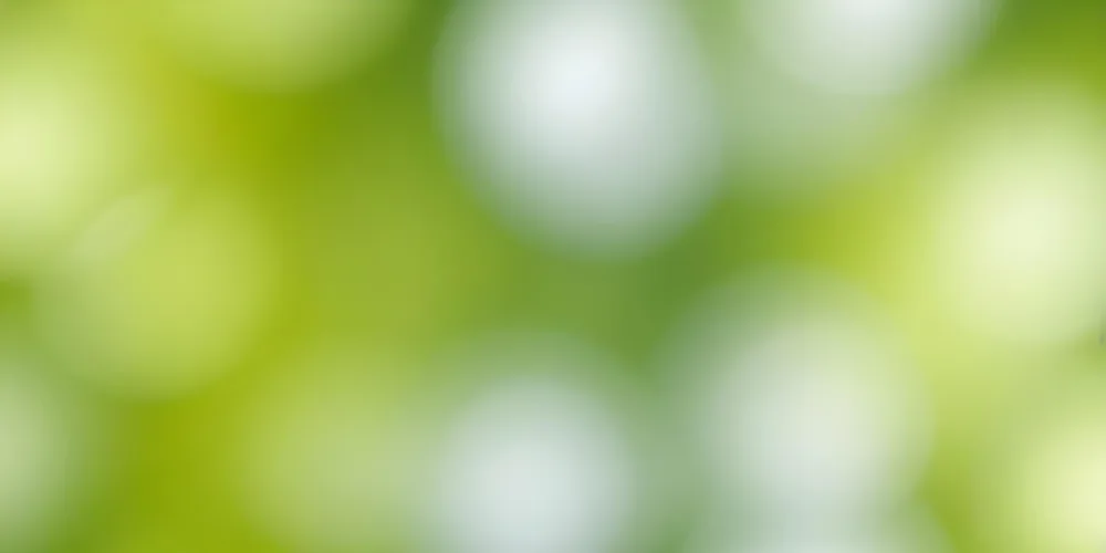 Blurred Green And White Background With Soft Focus Suggesting A Natural Lush Environment 15 B2f0