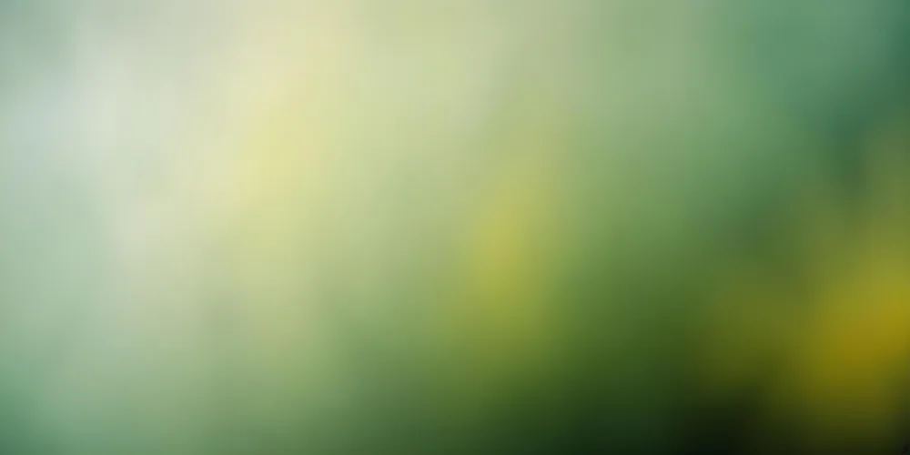 Blurred Green And Yellow Background With Soft Focus 1 B3b0