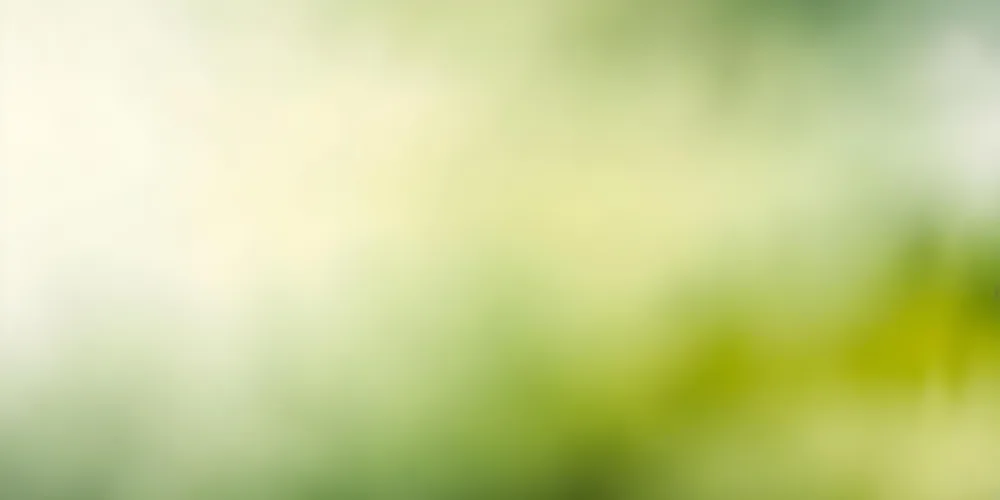 Blurred Green And Yellow Background With Soft Focus 13 1967