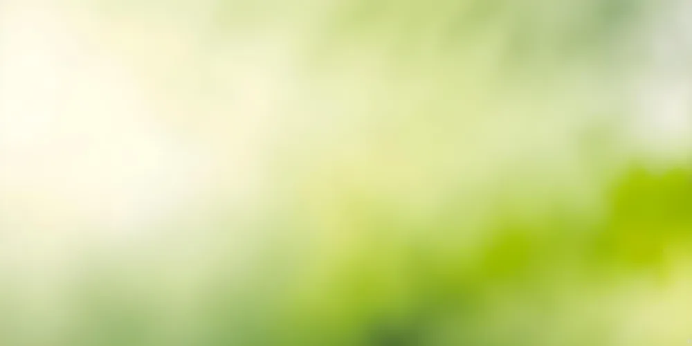 Blurred Green And Yellow Background With Soft Focus 16 0bef