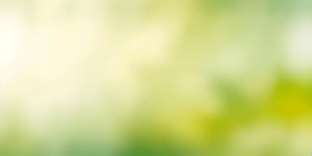 Blurred Green And Yellow Background With Soft Focus 25 Dec3