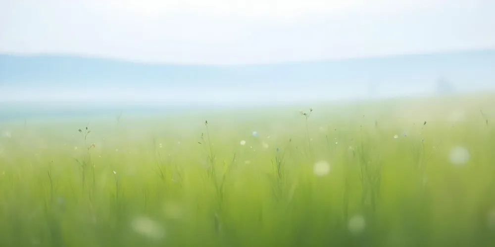 Blurred Green Meadow With A Hazy Blue Sky In The Background 11 3542