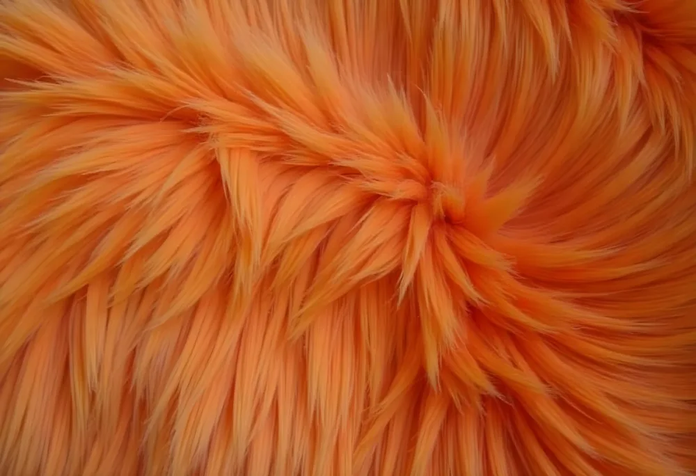 Close Up Of Orange Fur Texture 5