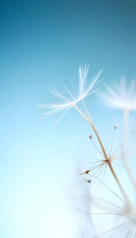 Dandelion Seed With White Filaments Attached To A Small Brown Seed Light Blue Background Soft Lighting Macro Photography Delicate And Airy Composition 8 1581