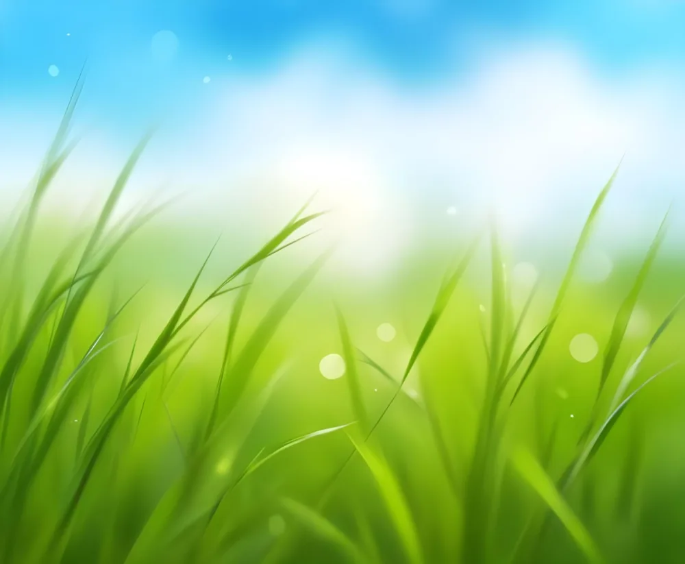 Digital Painting Abstract Background With Blurred Green Grass And Blue Sky Bokeh Effect Bright And Vibrant Colors Nature Inspired Design Fresh And Airy Feel Sunny Day Bold And Slim Lines Brush Strokes 11 1f74