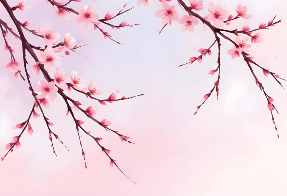 Digital Painting Cherry Blossom Branches With Pink Flowers On A Pink Background Some Petals Falling Soft And Delicate Spring Season Japanese Art Style Pastel Colors Bold And Slim Lines Brush Strokes 72 C4cb