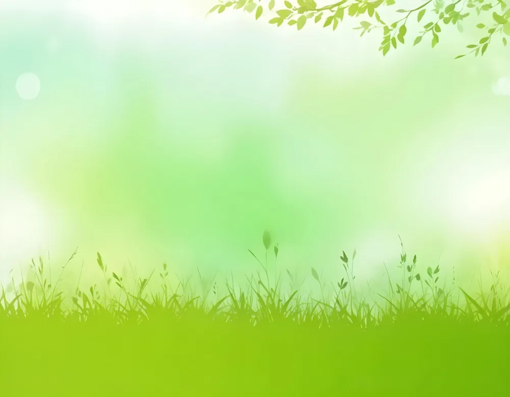 Digital Painting Green Meadow With Grass Silhouettes And Leaves On A Light Green Background With Bokeh Effect Nature Concept Fresh And Vibrant Colors Minimalist Design Bold And Slim Lines Brush Strokes 45 C92e