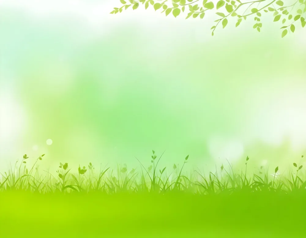 Digital Painting Green Meadow With Grass Silhouettes And Leaves On A Light Green Background With Bokeh Effect Nature Concept Fresh And Vibrant Colors Minimalist Design Bold And Slim Lines Brush Strokes 49 3557