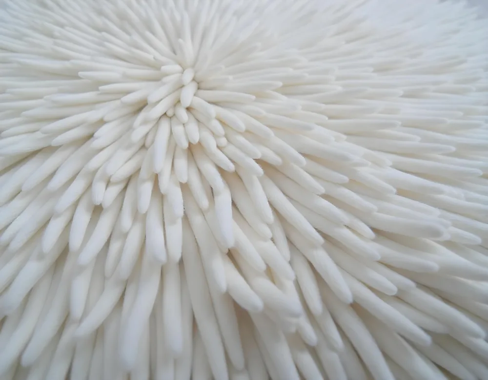 Fluffy White Fur Texture 4 206d