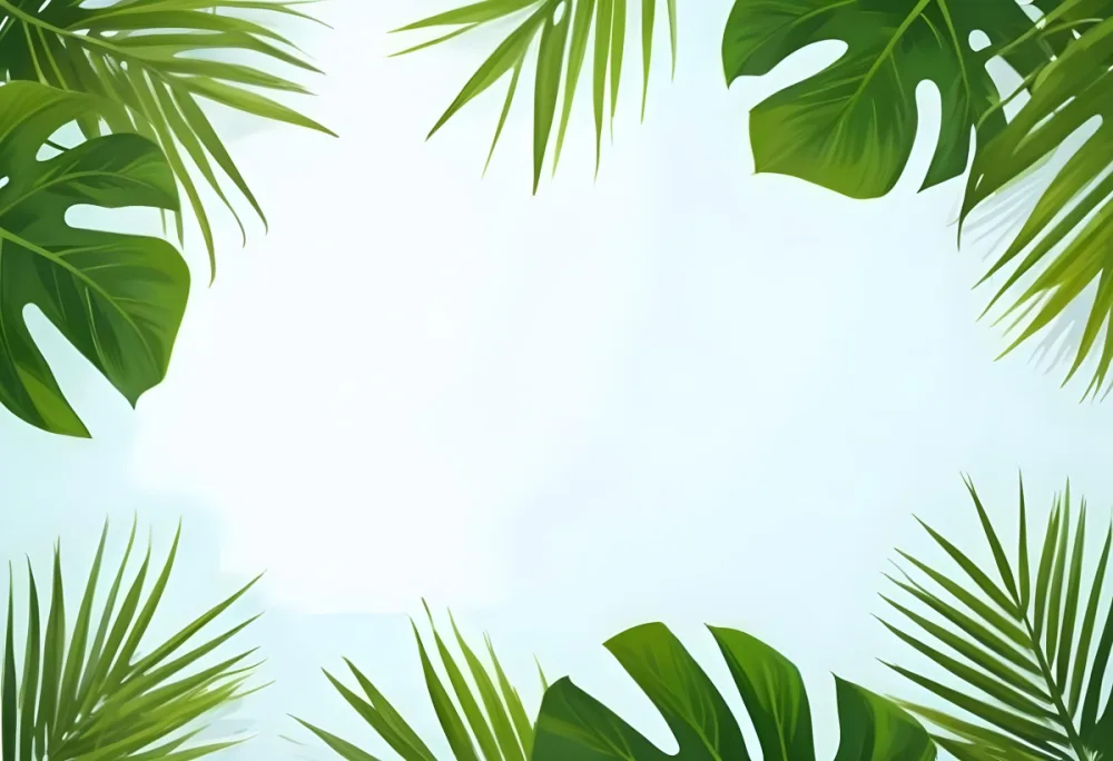Frame Of Tropical Leaves Palm Leaves Monstera Leaves White Background Tropical Nature Summer Green Fresh Vibrant Botanical Minimalist Clean Bright 15 316c