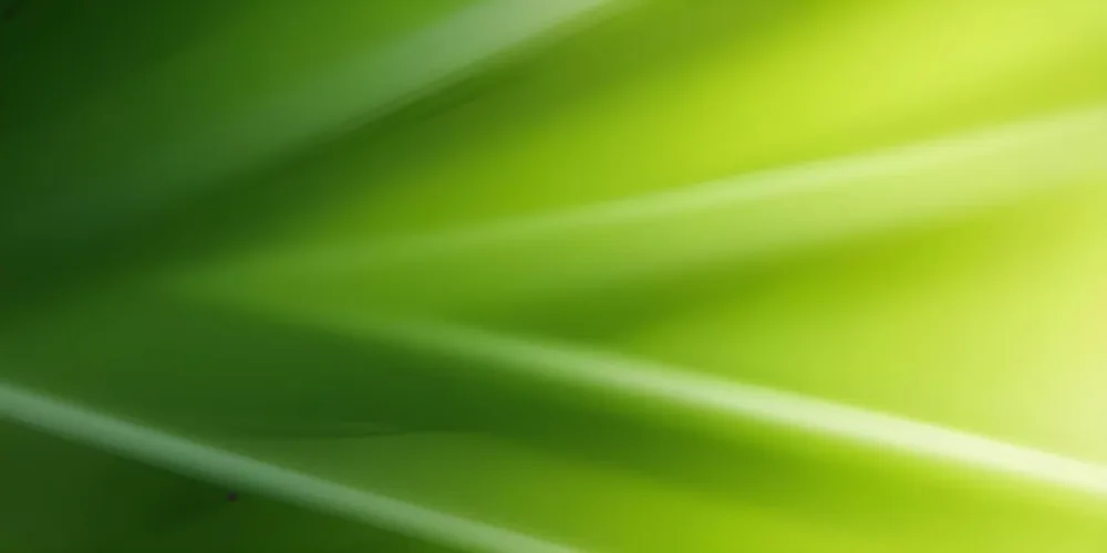 Green Abstract Background With Blurred Diagonal Lines 21 0136