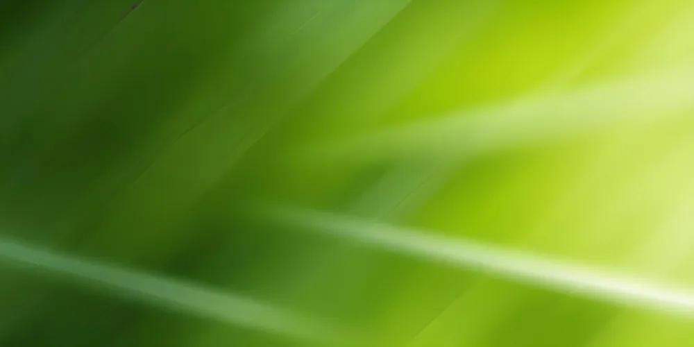 Green Abstract Background With Blurred Diagonal Lines 67 49e0