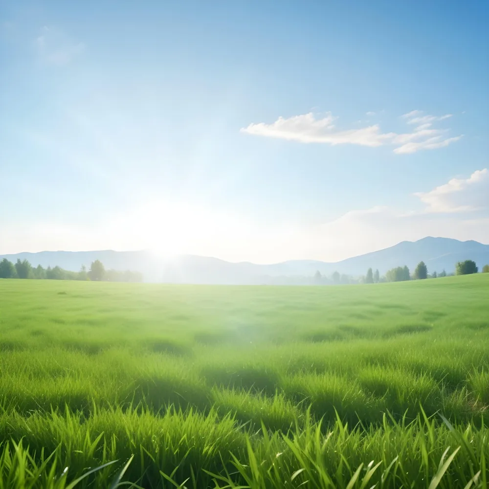 Green Grass Field With A Clear Blue Sky Sunny Day Vibrant Colors Natural Light Peaceful Atmosphere Nature Background Fresh Air Outdoor Scene 17 3649