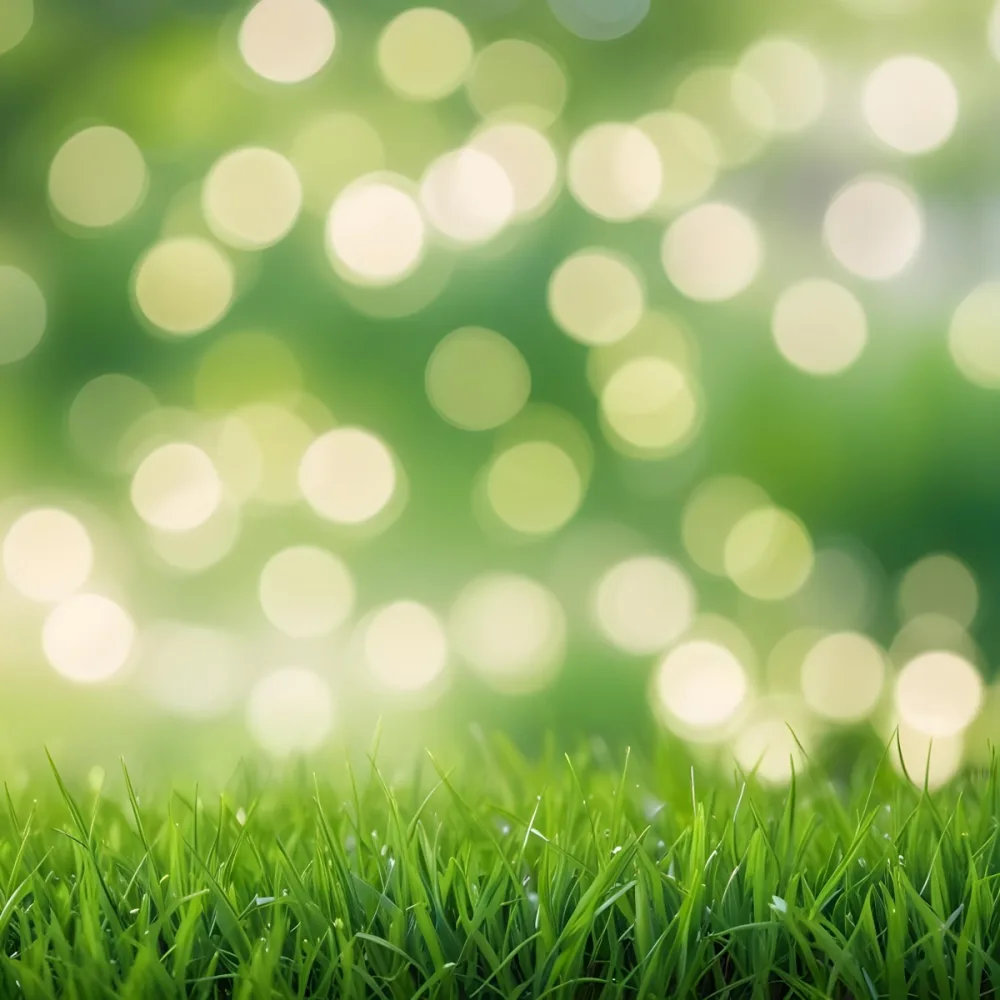 Green Grass In The Foreground With A Blurred Background Of Green And White Bokeh Nature Outdoors 18 55d1