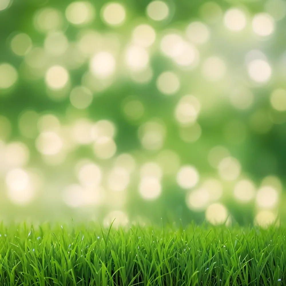 Green Grass In The Foreground With A Blurred Background Of Green And White Bokeh Nature Outdoors 20 Da97