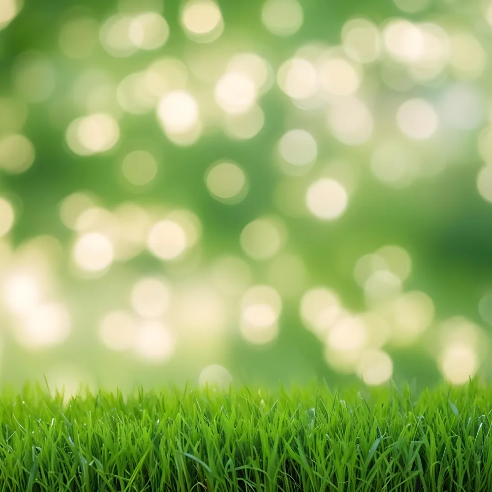 Green Grass In The Foreground With A Blurred Background Of Green And White Bokeh Nature Outdoors 27 4aaa
