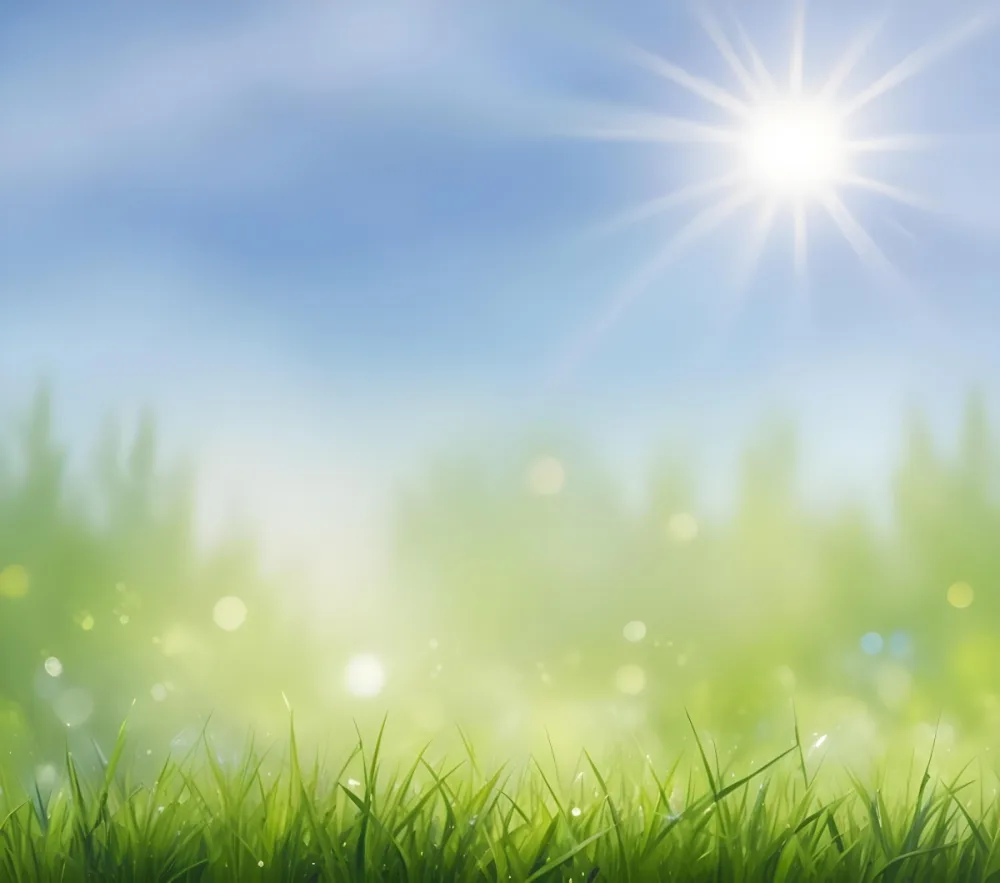 Green Grass With A Blue Sky And The Sun Shining Bokeh Effect Sunny Day Spring Season Nature Background 58 2269