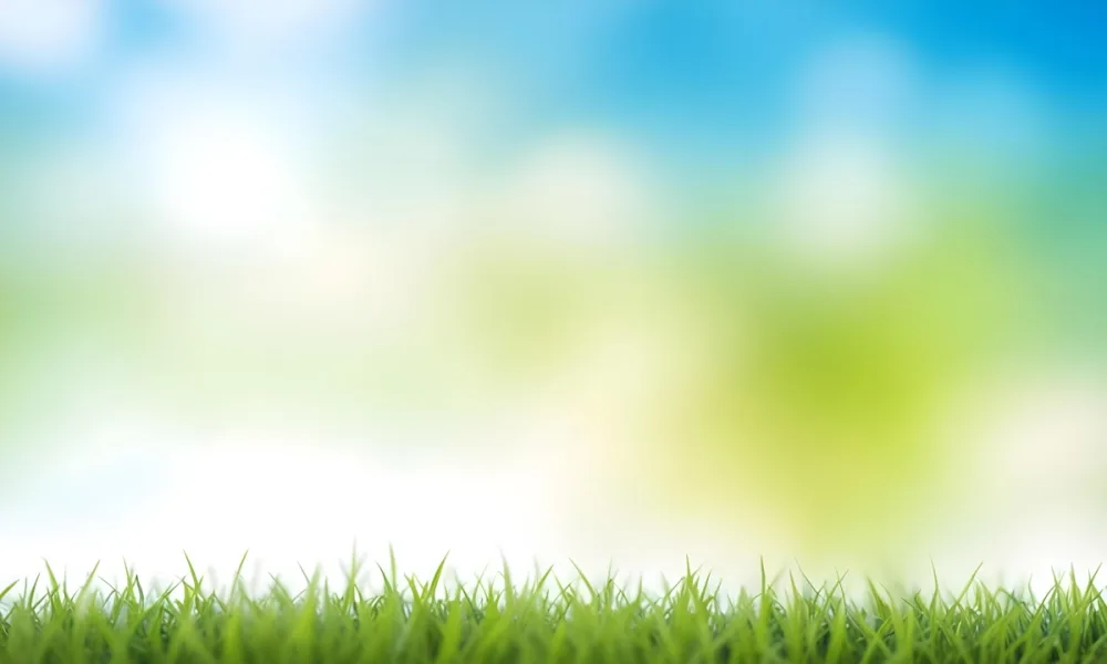 Green Grass With Blurred Blue Sky And White Clouds In The Background 5 C96b
