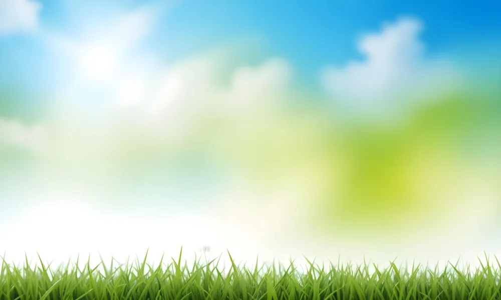 Green Grass With Blurred Blue Sky And White Clouds In The Background 8 92ac
