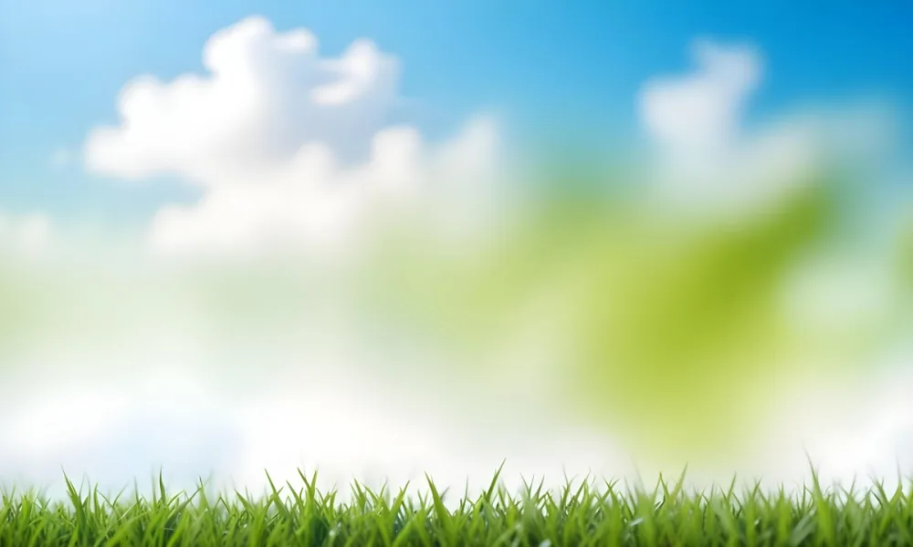Green Grass With Blurred Blue Sky And White Clouds In The Background 9 42d7