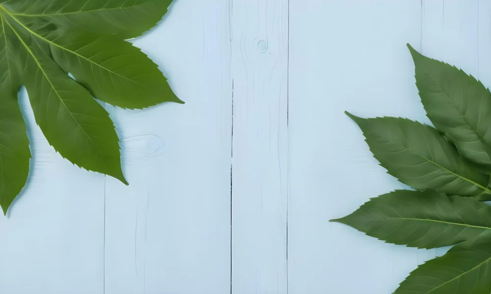 Green Leaves On A Light Blue Wooden Surface The Leaves Are Arranged In The Corners Of The Image The Background Is A Light Blue Color 5 A646