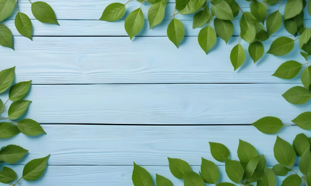 Green Leaves On A Light Blue Wooden Surface The Leaves Are Arranged In The Corners Of The Image The Background Is A Light Blue Color 7 F8cc