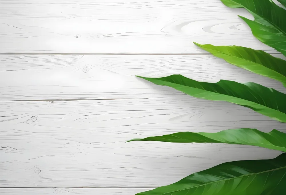 Green Leaves On A White Wooden Surface Creating A Natural And Fresh Background Ideal For Product Presentation Or Text Overlay 12 1eb4