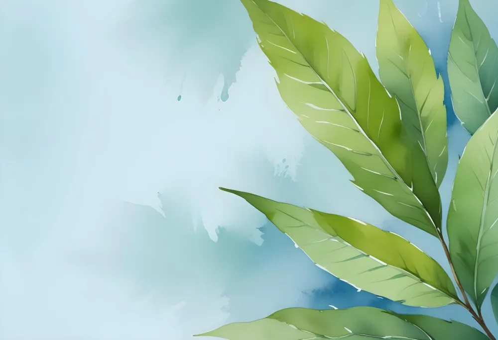 Green Leaves On The Right Side With A Light Blue Background The Leaves Are Bright And The Background Is Plain 24 54b5