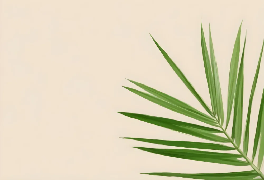 Green Palm Leaf On A Beige Background Minimalist Style Bright And Clean Simple Composition Natural Light Tropical Vibe Fresh And Vibrant Botanical Theme 5 B5d1