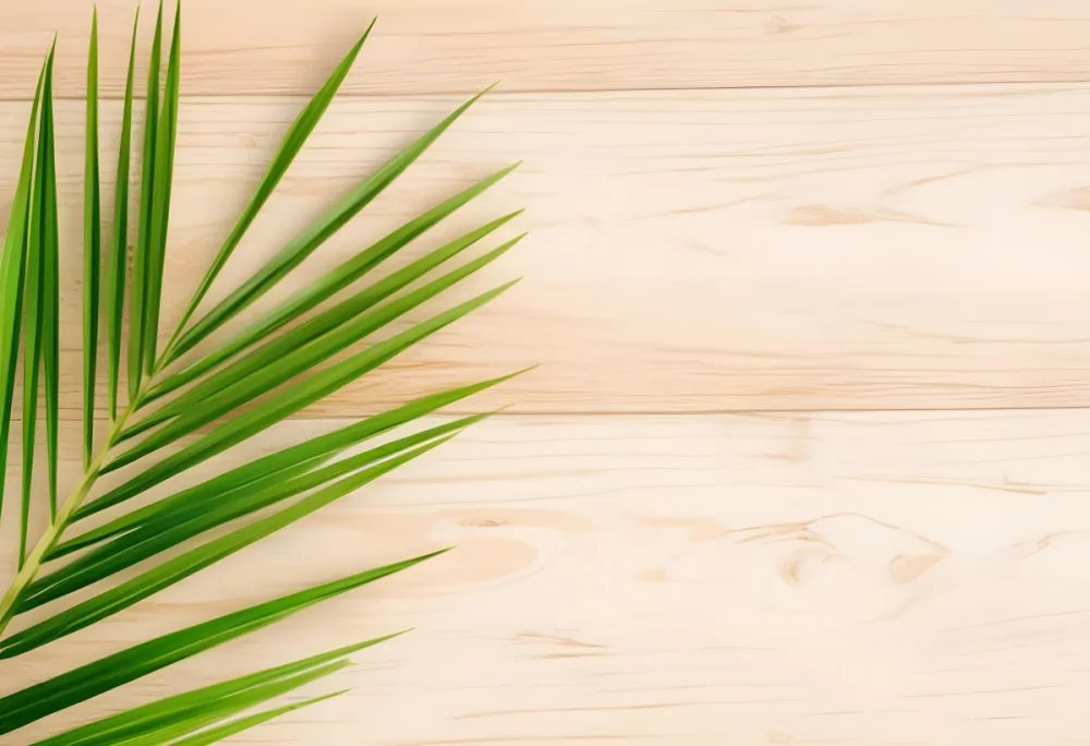 Green Palm Leaf On A Light Brown Wooden Background Tropical Vibrant Natural Fresh Minimalist Clean Bright Summer Botanical Organic Simple 69 C990