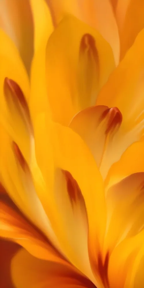 Macro Shot Of Vibrant Red Flower Petals With Orange Tips Soft Lighting Close Up View Showcasing The Intricate Details And Textures Of The Flower 25 D2c6