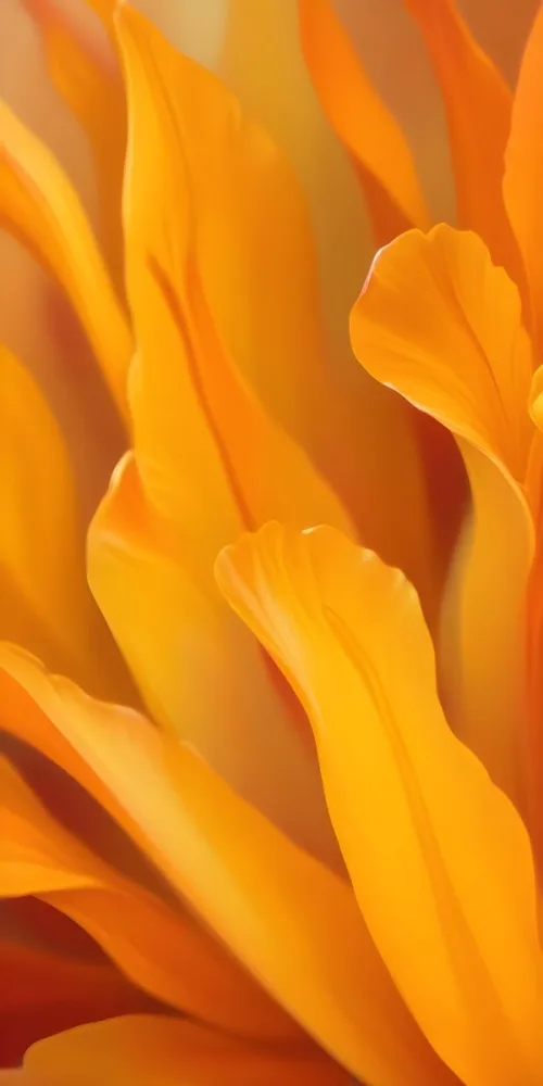 Macro Shot Of Vibrant Red Flower Petals With Orange Tips Soft Lighting Close Up View Showcasing The Intricate Details And Textures Of The Flower 46 6e8a