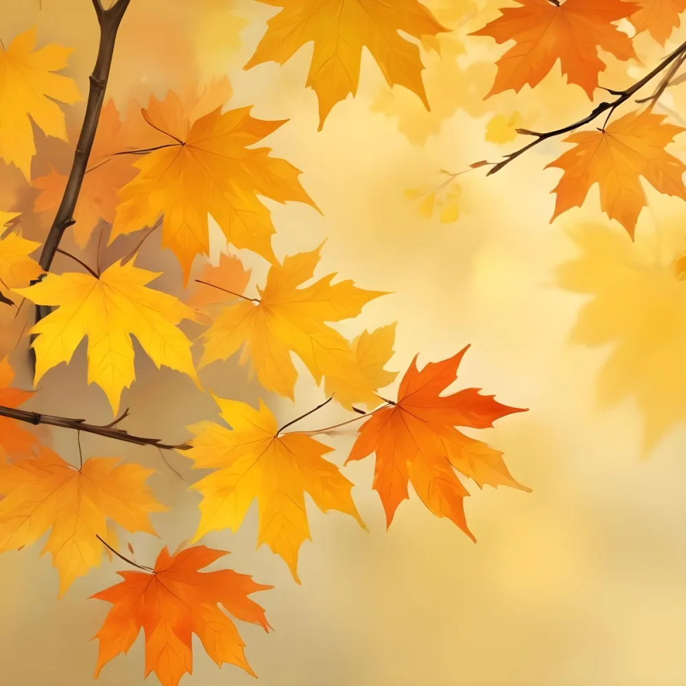 Maple Leaves In Yellow And Orange Tones On Tree Branches Soft Yellow Background With Bokeh Effect Autumn Season Vibrant Colors Nature Inspired Design 36 B362