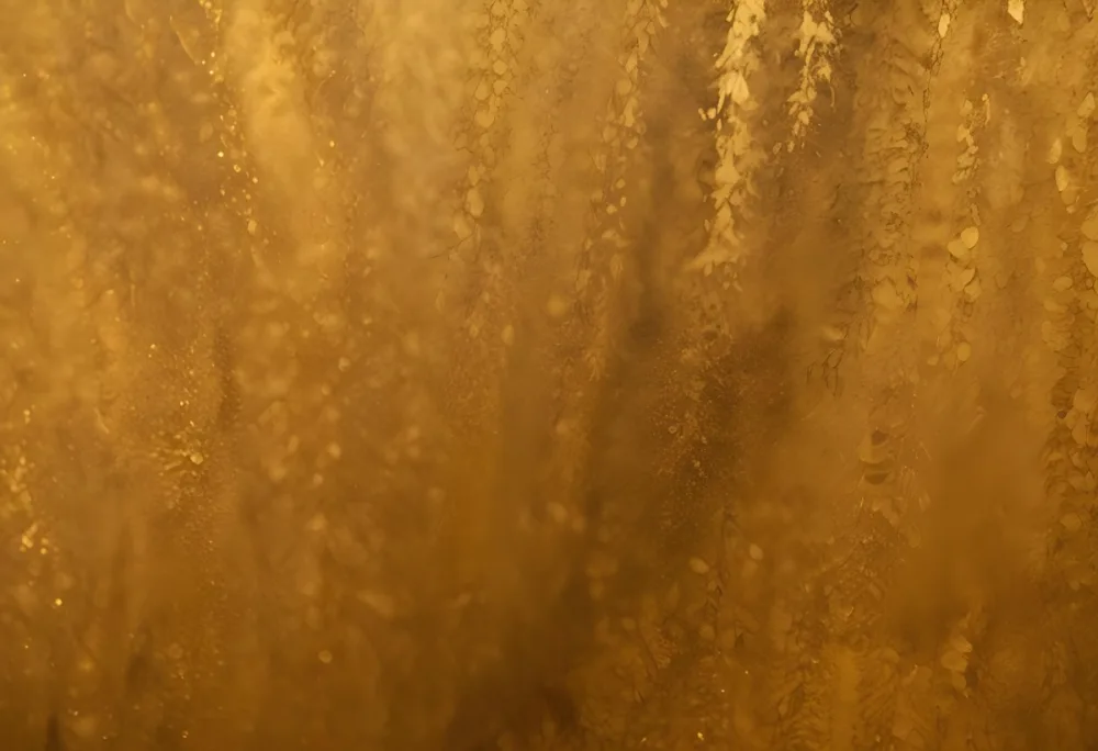 Minimal Soft Studio Light Photography A Close Up Image Of A Golden Glittery Surface With A Textured Granular Appearance High Detail Solid Bold Color Background 7 Fe13