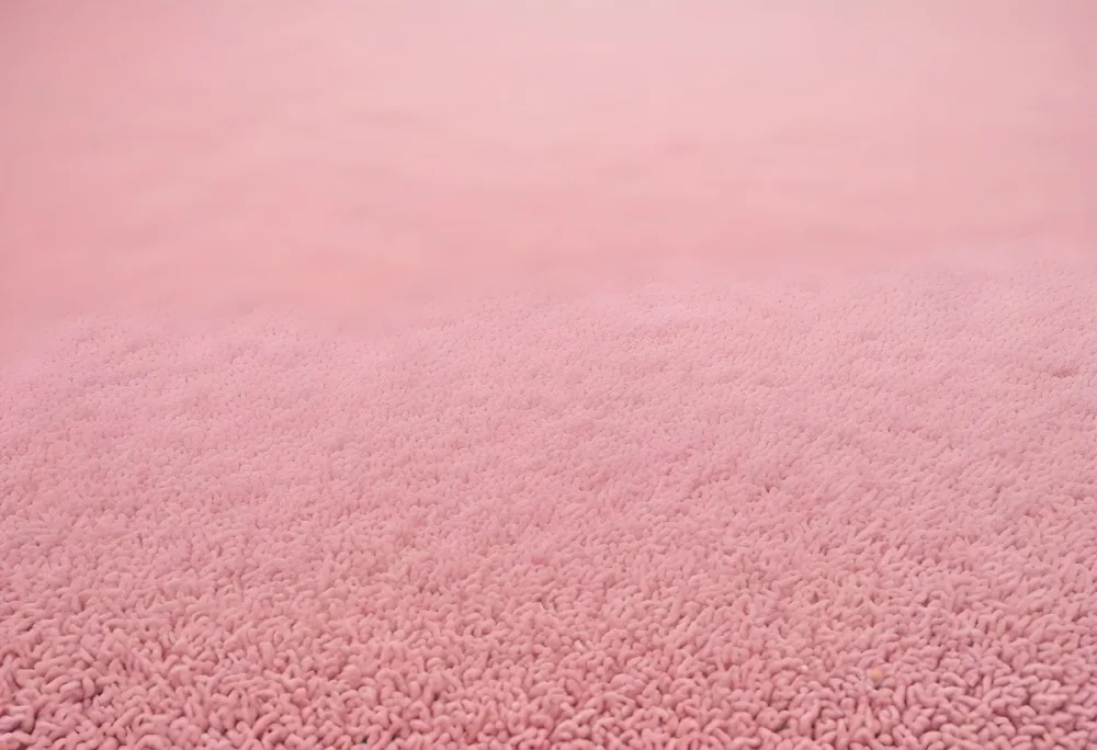 Minimal Soft Studio Light Photography A Close Up View Of A Soft Textured Pink Carpet Or Rug With A Subtle Pattern High Detail Solid Bold Color Background 18 3d57