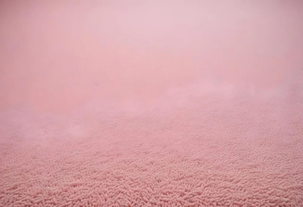Minimal Soft Studio Light Photography A Close Up View Of A Soft Textured Pink Carpet Or Rug With A Subtle Pattern High Detail Solid Bold Color Background 36 Ef83