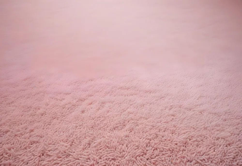 Minimal Soft Studio Light Photography A Close Up View Of A Soft Textured Pink Carpet Or Rug With A Subtle Pattern High Detail Solid Bold Color Background 38 D82e