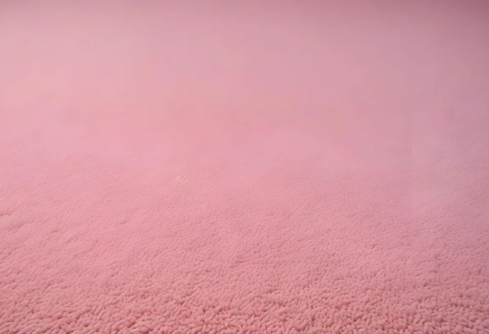 Minimal Soft Studio Light Photography A Close Up View Of A Soft Textured Pink Carpet Or Rug With A Subtle Pattern High Detail Solid Bold Color Background 46 6b84